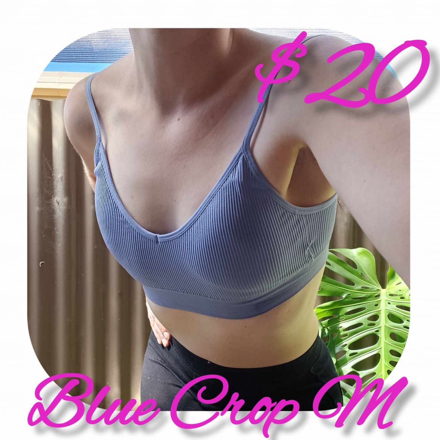 Blue ribbed crop M