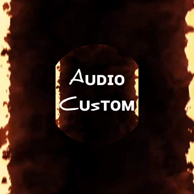 AUDIO CUSTOM