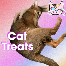 Cat Food Treats and Toys