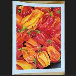 Buy my ArtWork: Habanero Chillies