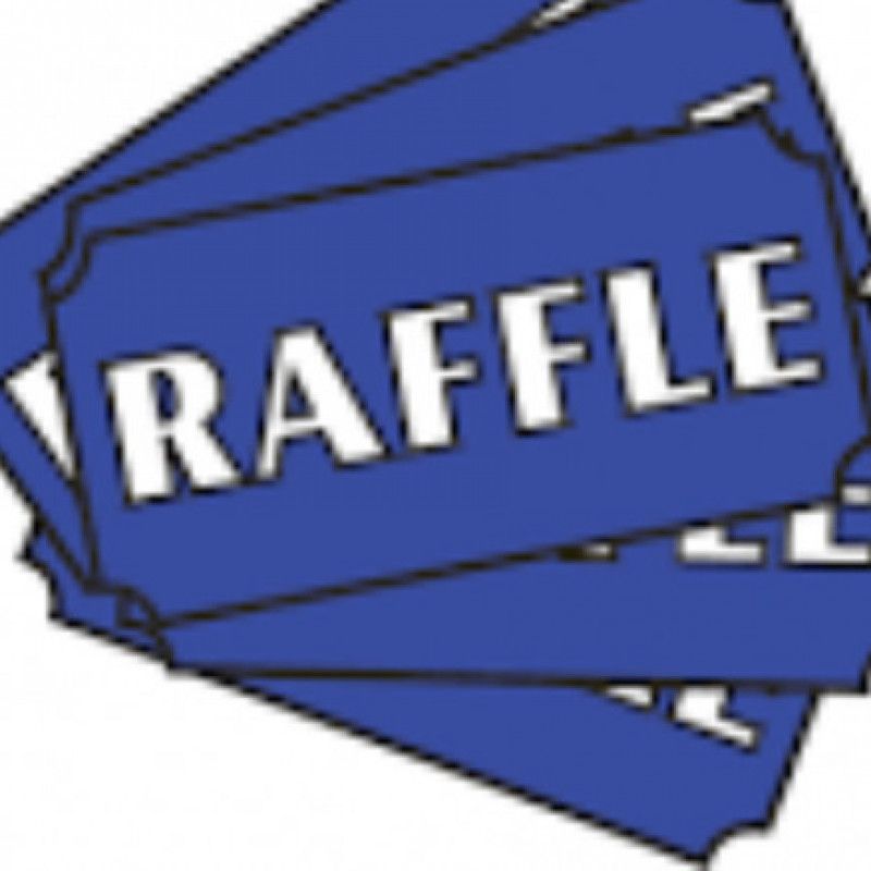 10 Christmas PKG raffle tickets