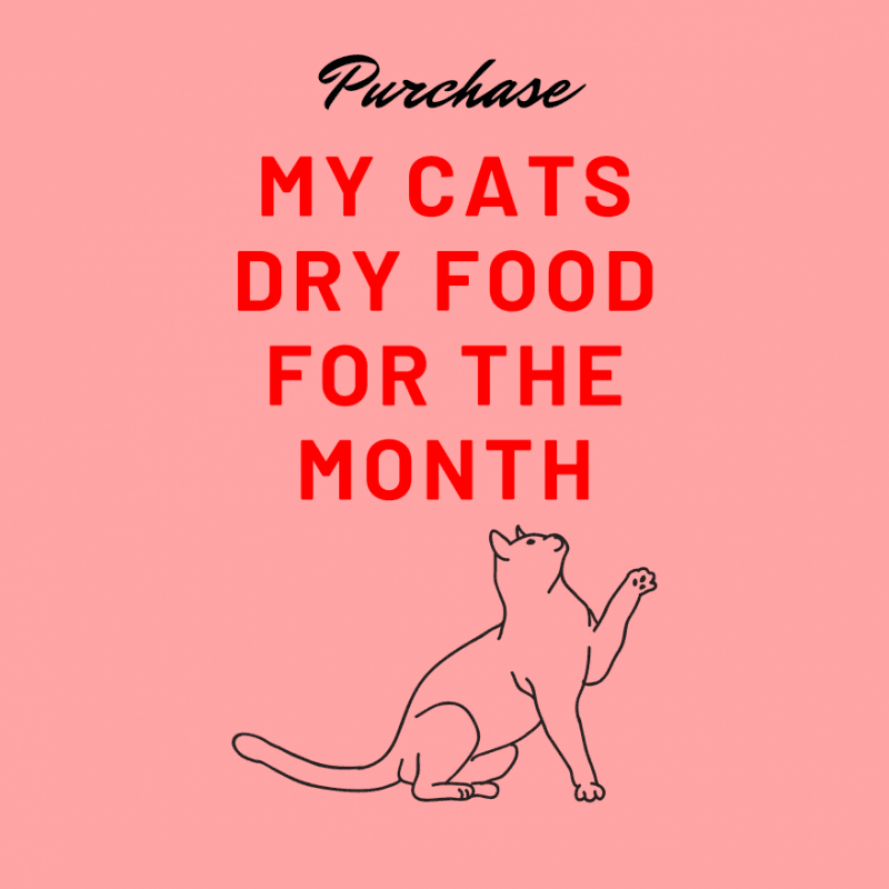 Buy My Cats Dry Food