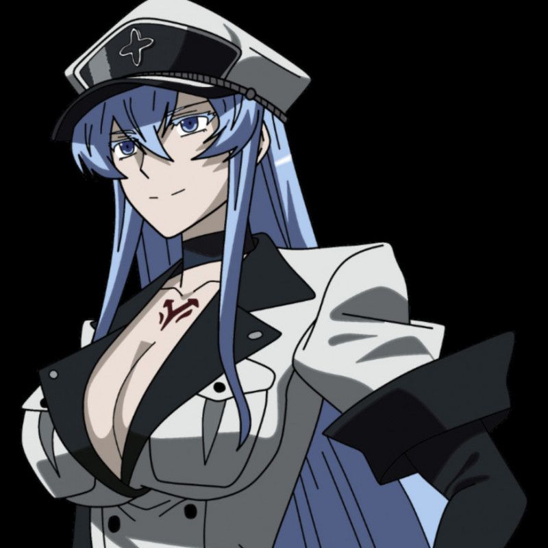 Buy Me Esdeath Cosplay and Get Custom