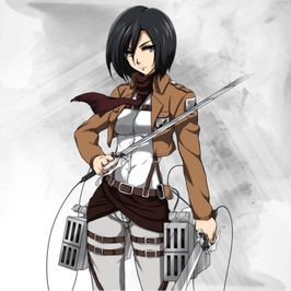 Buy Me Mikasa Cosplay and Get Custom