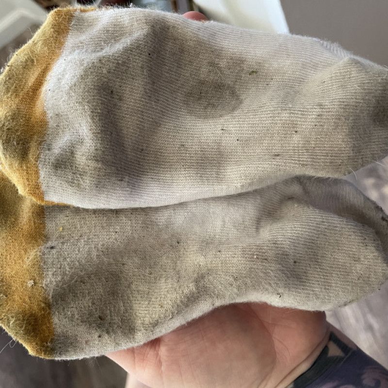 7 Day worn Socks