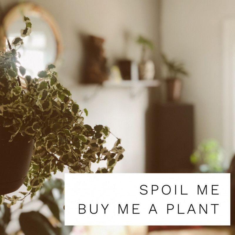 BUY ME A PLANT