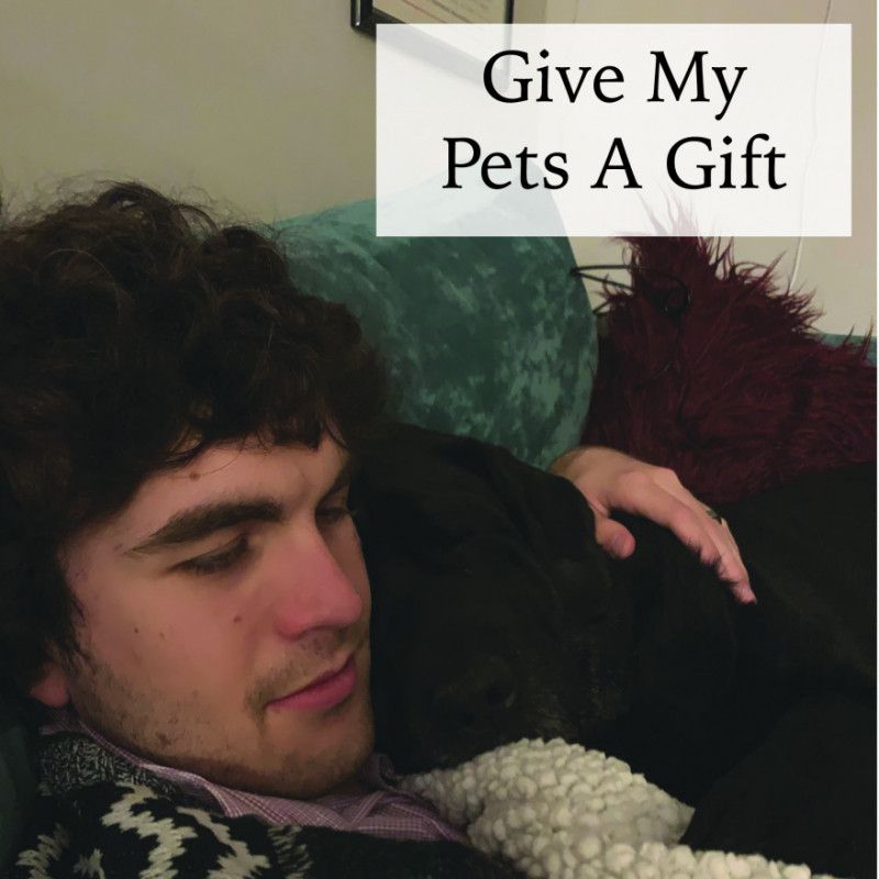 Give My Pets A Gift