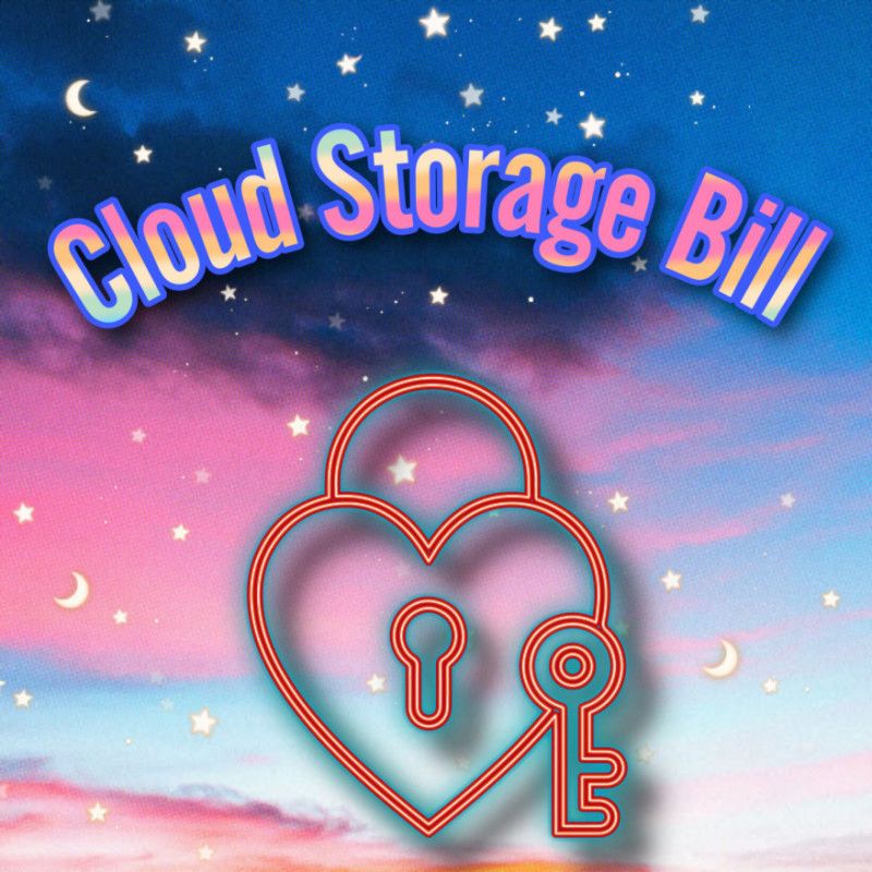 Cloud Storage Bill