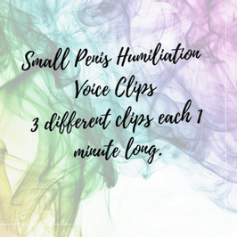 Small Penis Humiliation Voice Clips