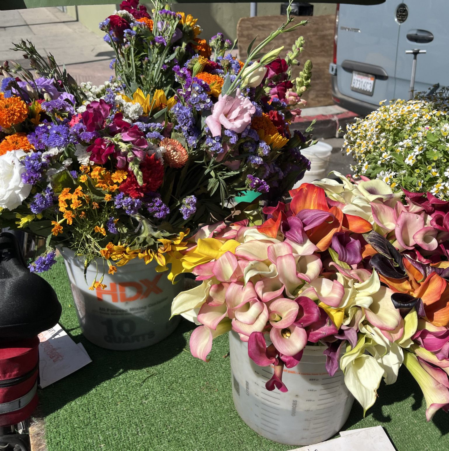 My weekly farmers market flowers