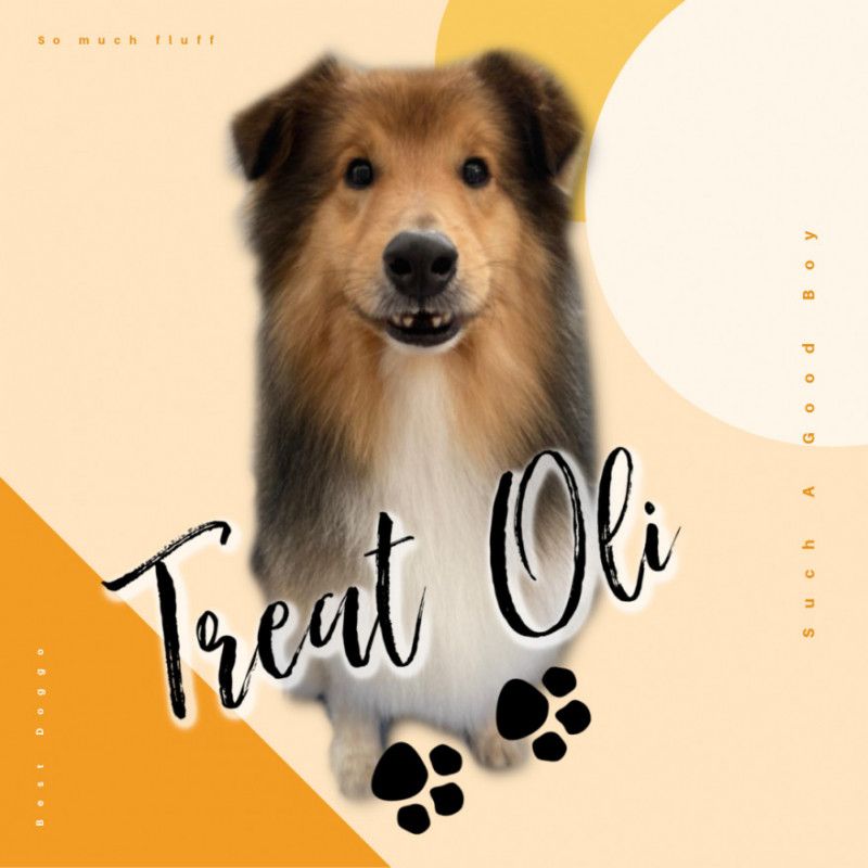 Treat Oli!