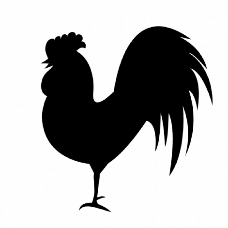 Cock Rating!