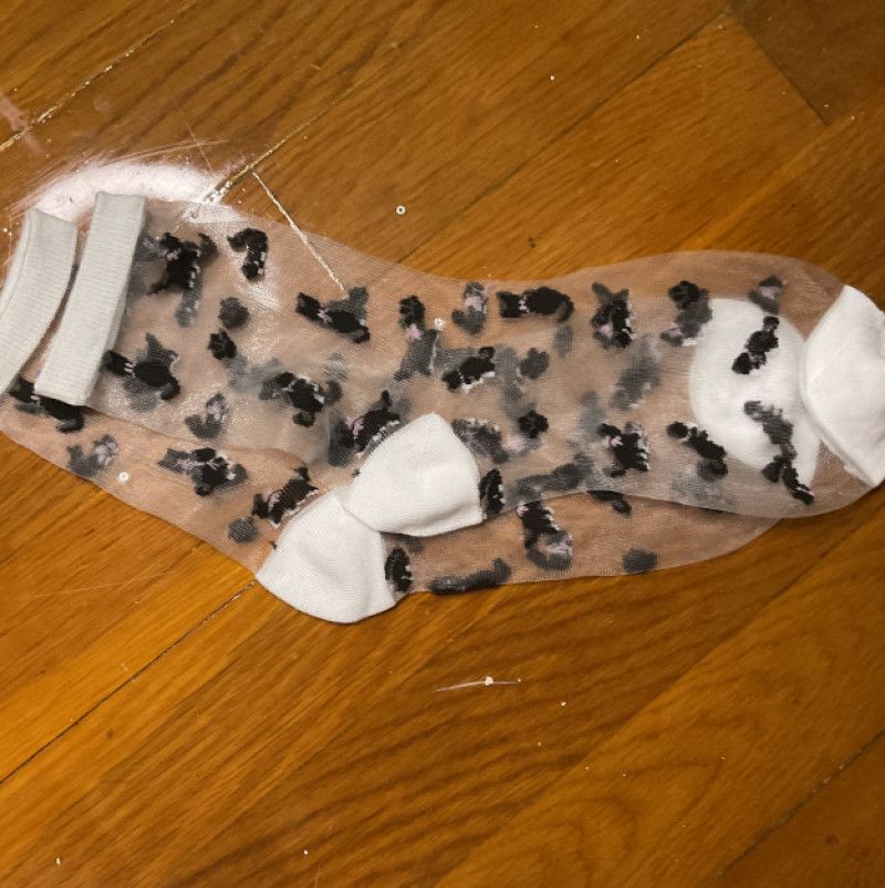 Worn Cat Nylon Socks