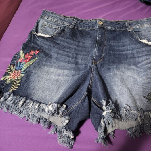 Pair of My Old Barely Worn Shorts