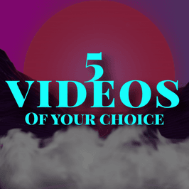 5 Video Bundle