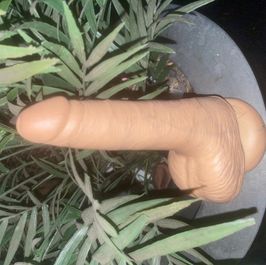 Used favorite Dildo