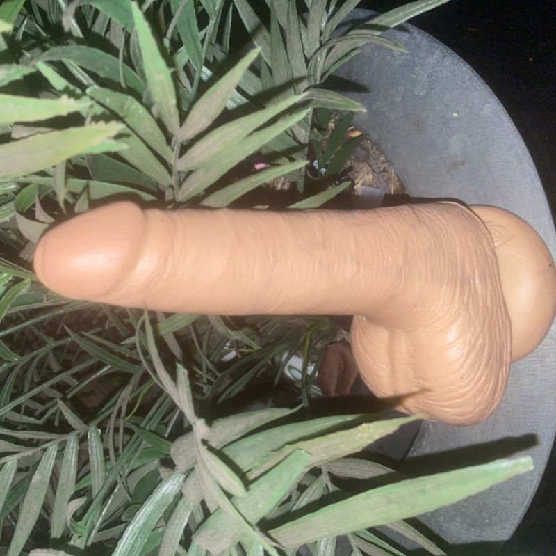 Used favorite Dildo