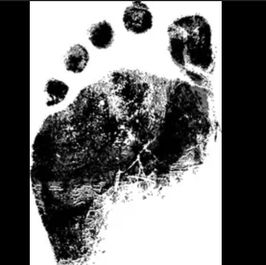 Foot print