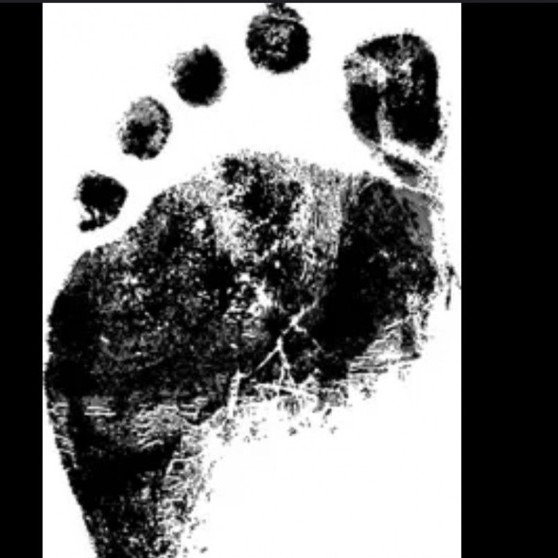 Footprint digital print