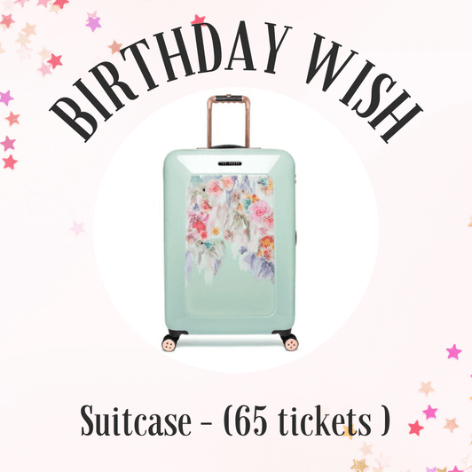 BIRTHDAY GIFT Ted Baker Suitcase