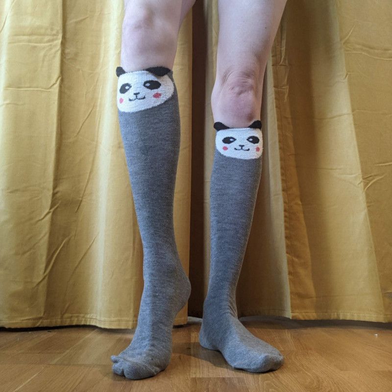 Used Panda Socks