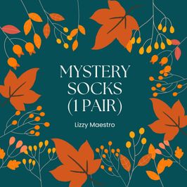 Mystery Socks 1 Pair