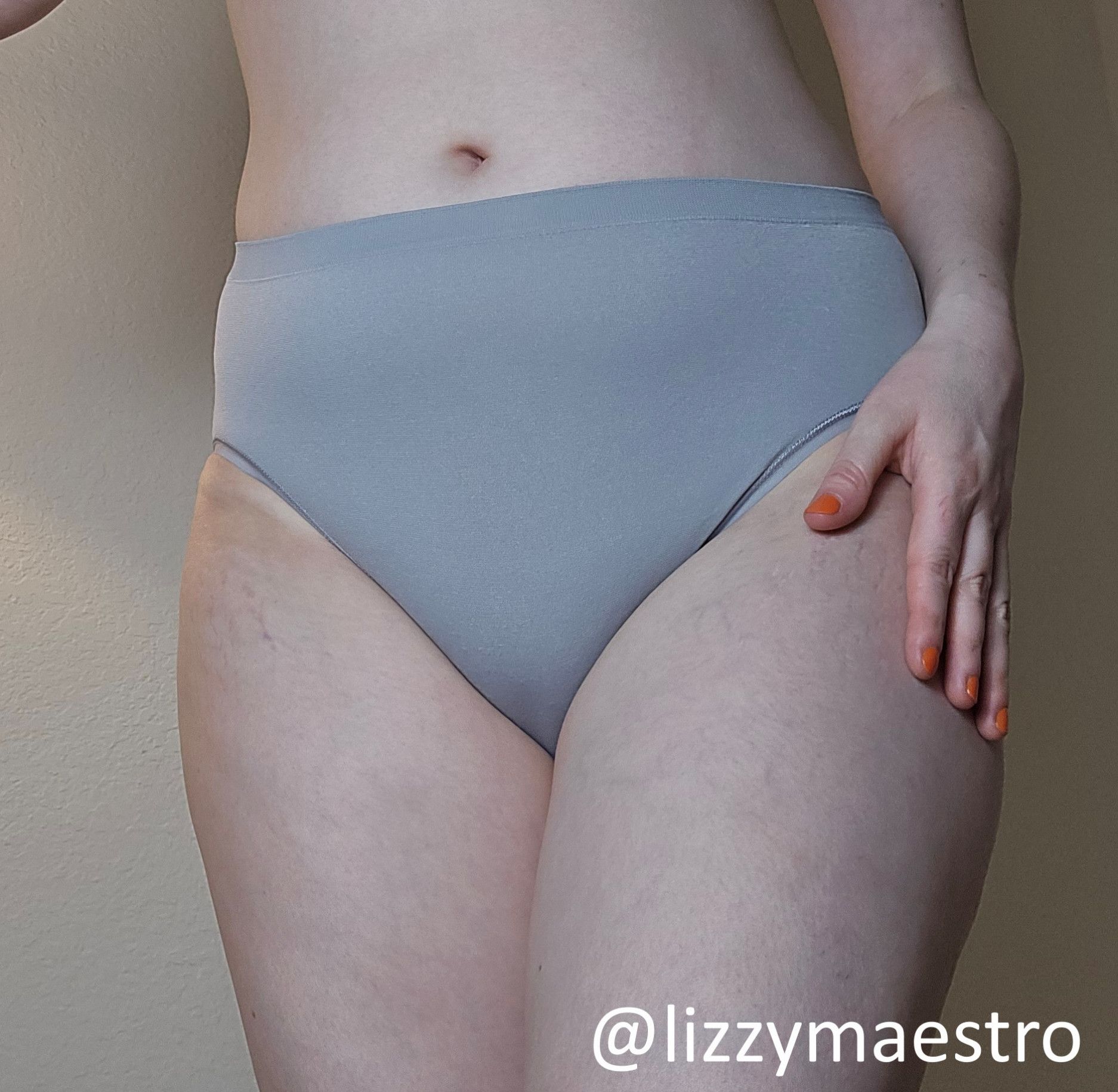 Light Grey Nylon Panties