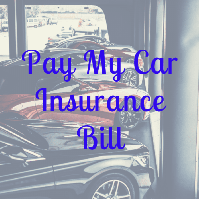 Adopt A Bill: Insurance Bill