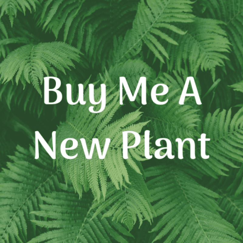 Buy Me A New Plant Baby