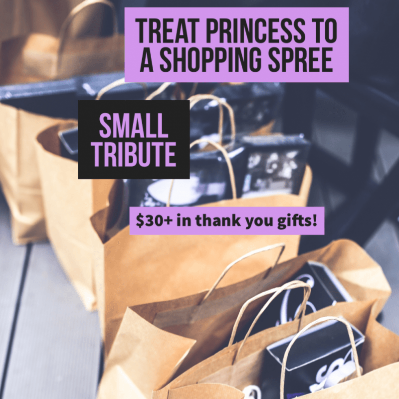 Treat Princess to a Shopping Spree S