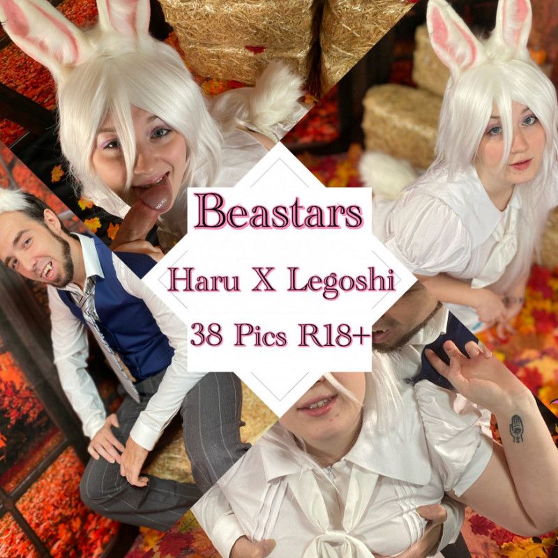 Beastars Haru X Legoshi Photoset 38 Pics