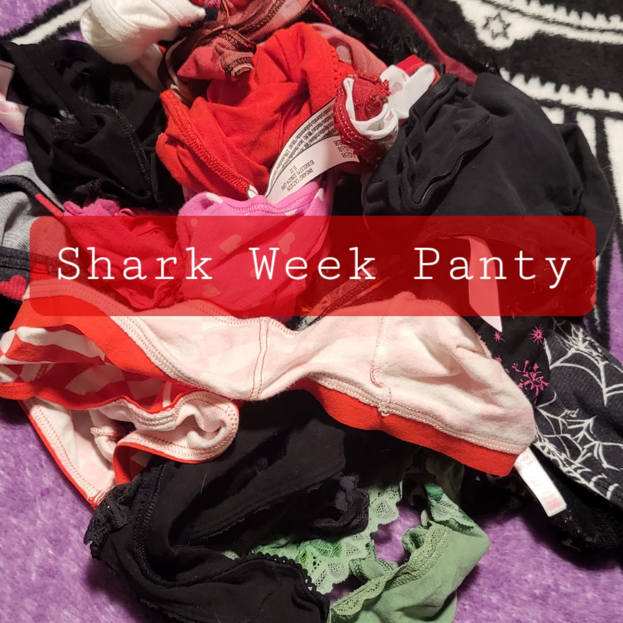 Shark Week Panty