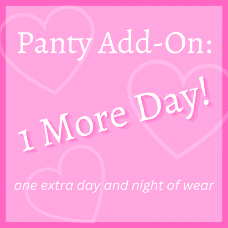 Panty Add On: One More Day