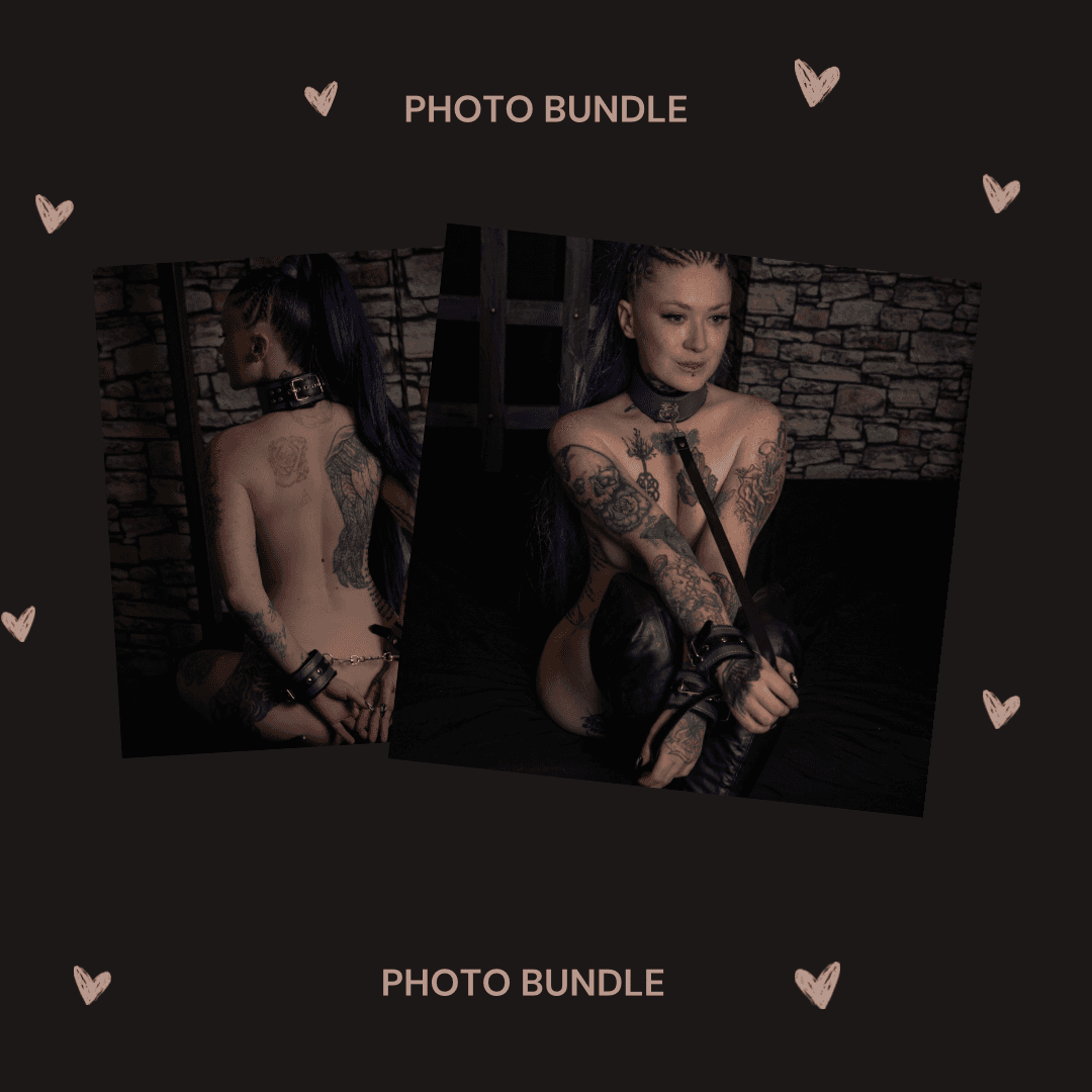 Collared Cutie Photo Bundle