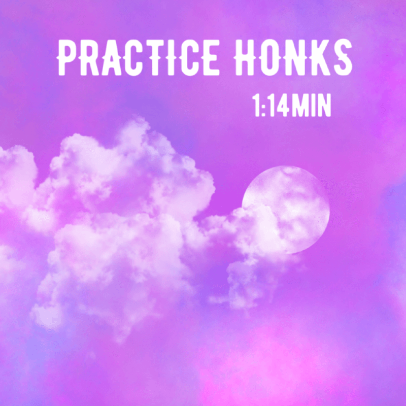 Listen to me practice honking