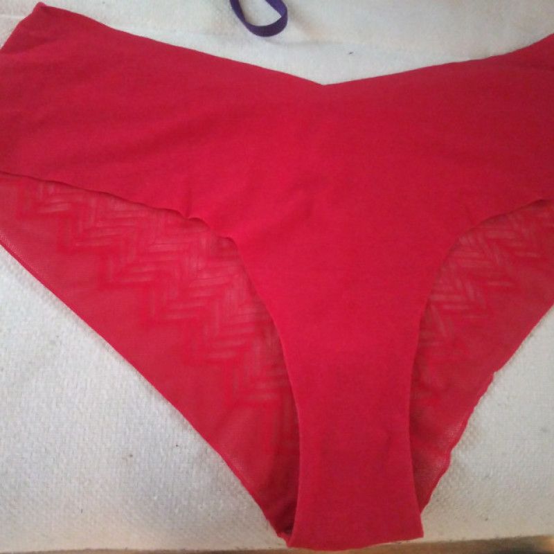 Red silk panties