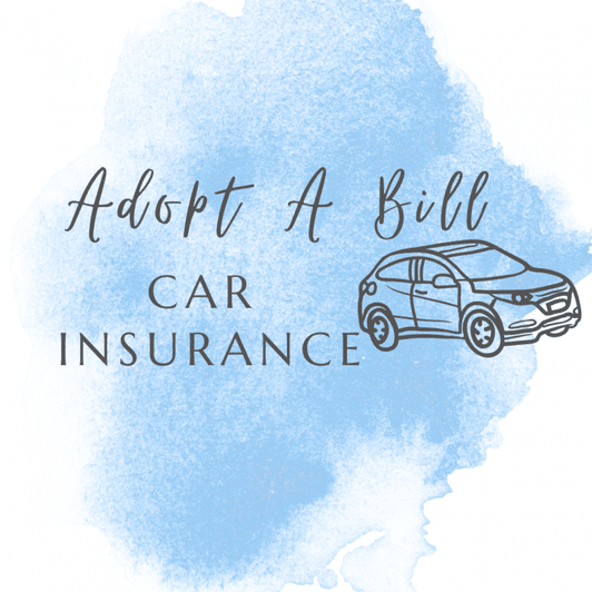 Adopt A Bill : Car Insurance