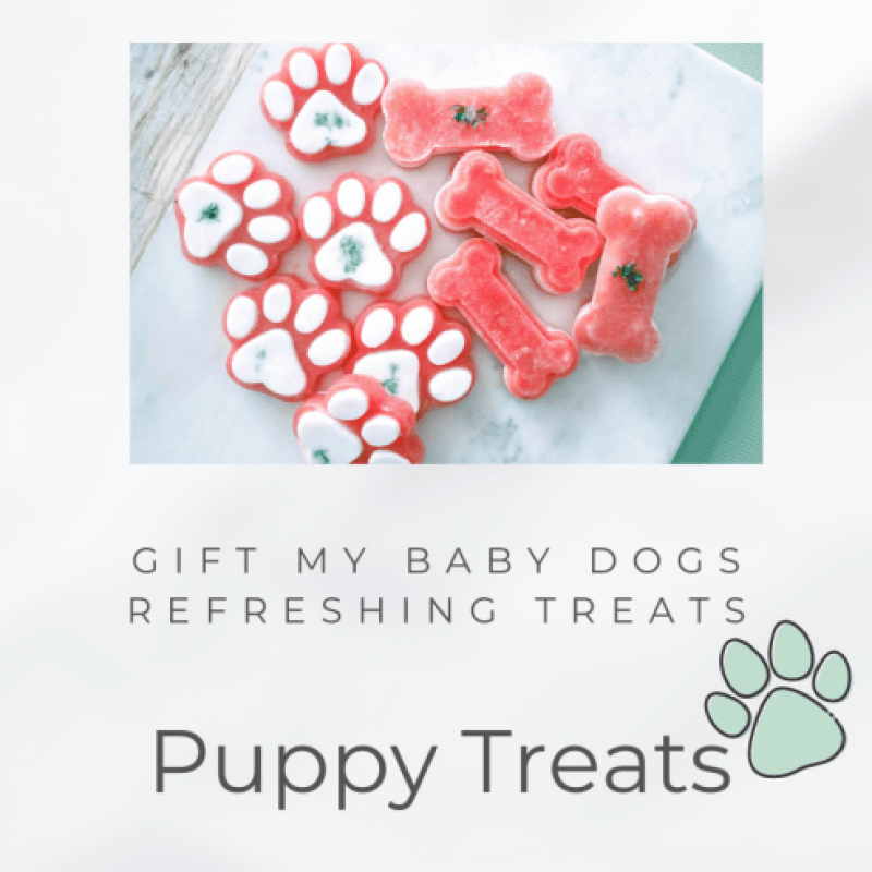 Puppy Treats