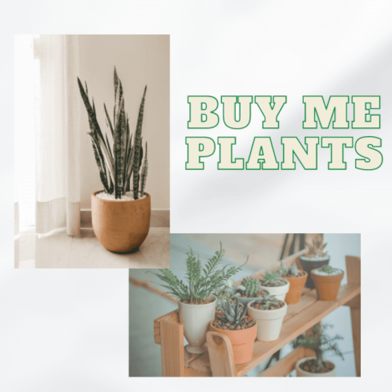 Buy Me Plants