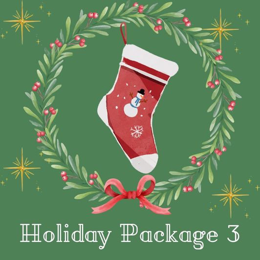 Stuffed Holiday Stocking Package 3