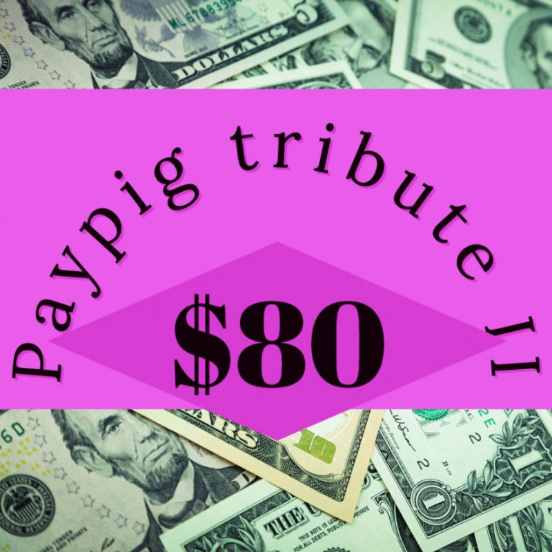 Paypig tribute II