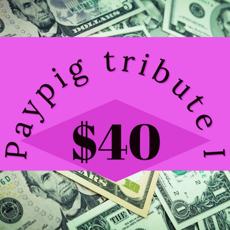 Paypig tribute I