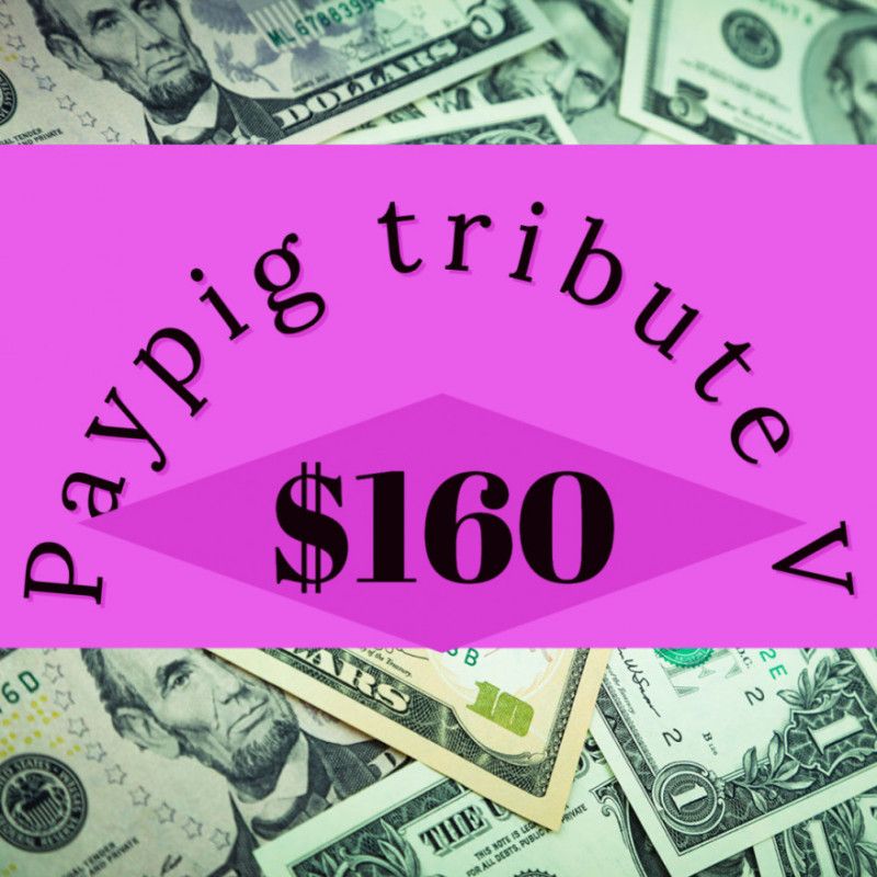 Paypig tribute V