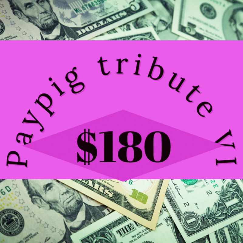 Paypig tribute VI