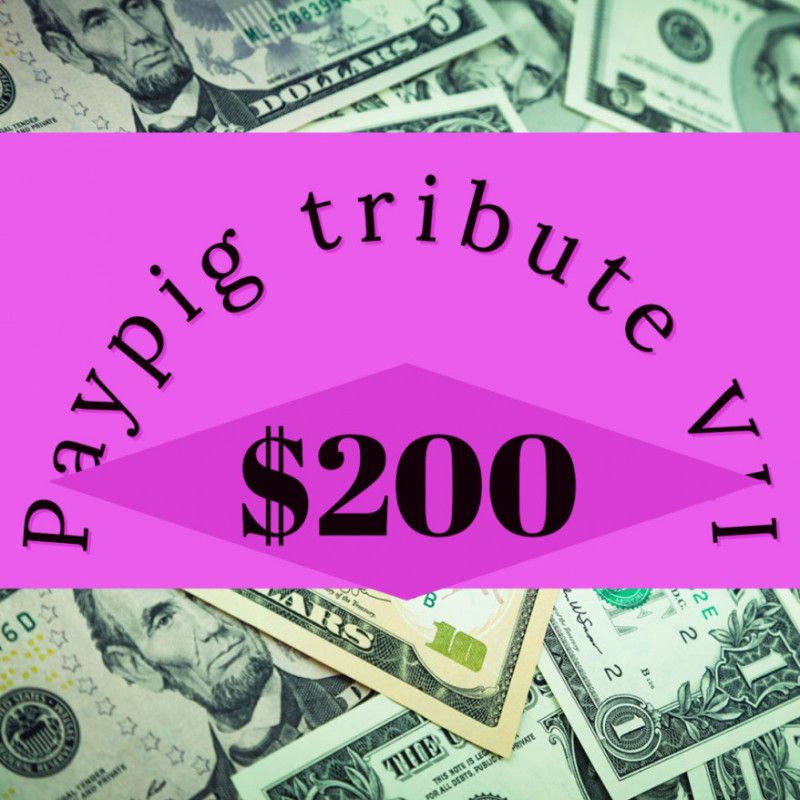 Paypig tribute VII