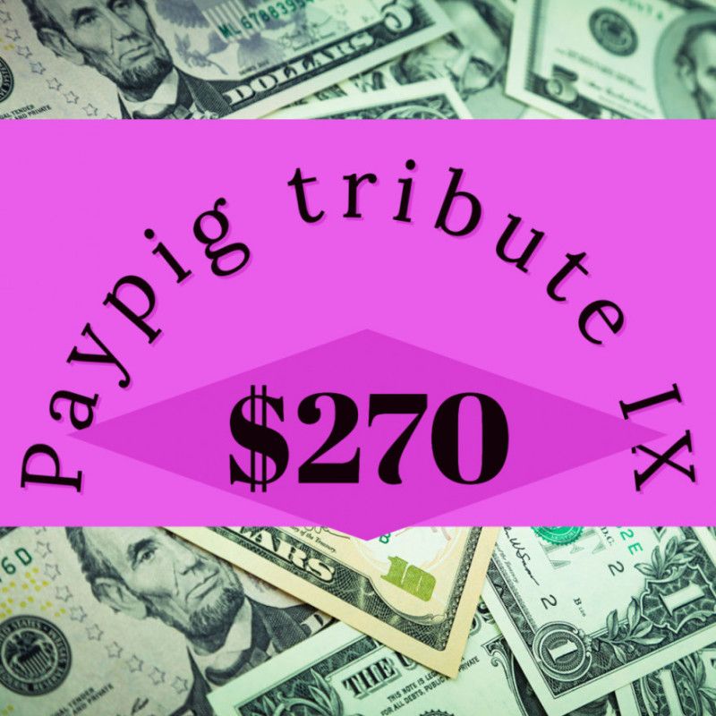 Paypig tribute IX