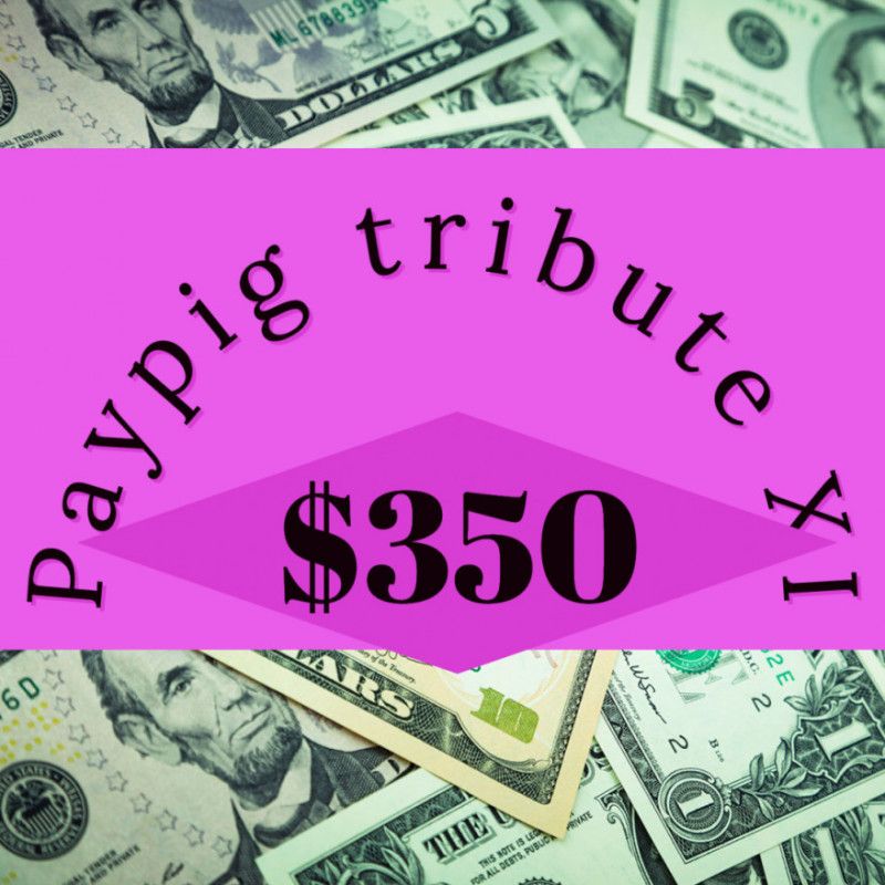 Paypig tribute XI