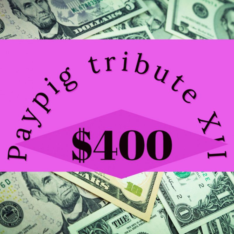 Paypig tribute XII