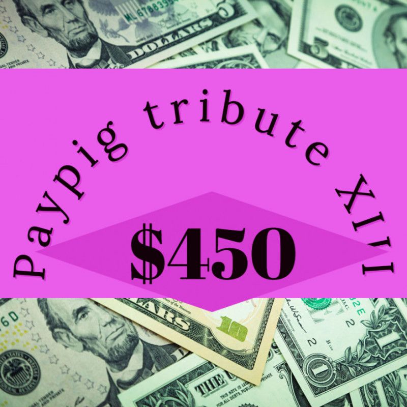 Paypig tribute XIII