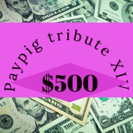 Paypig tribute XIV